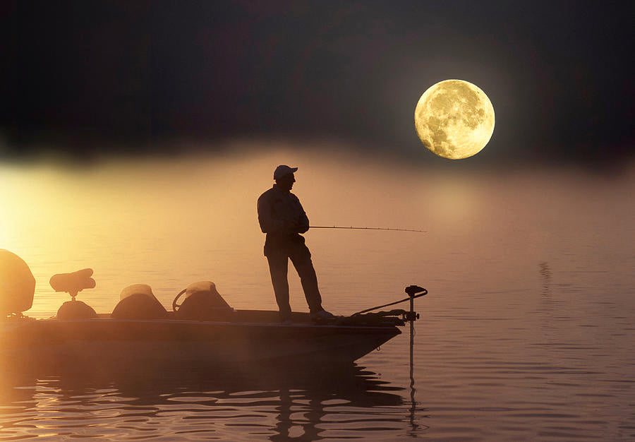 Fishing Based On The Moon Phases FishVault