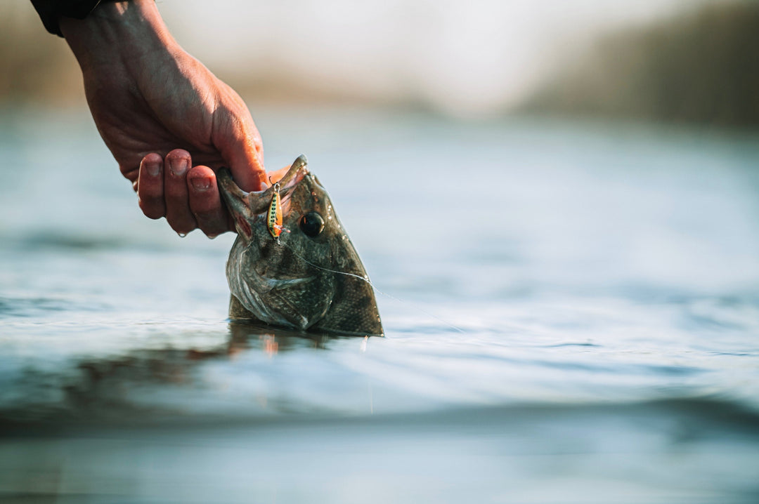 How Water Clarity Affects Fishing