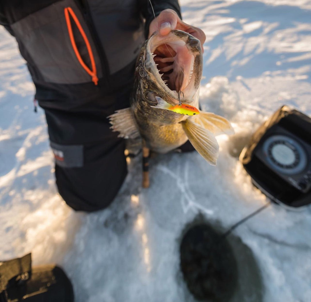 Top Baits For Fishing In Cold Water