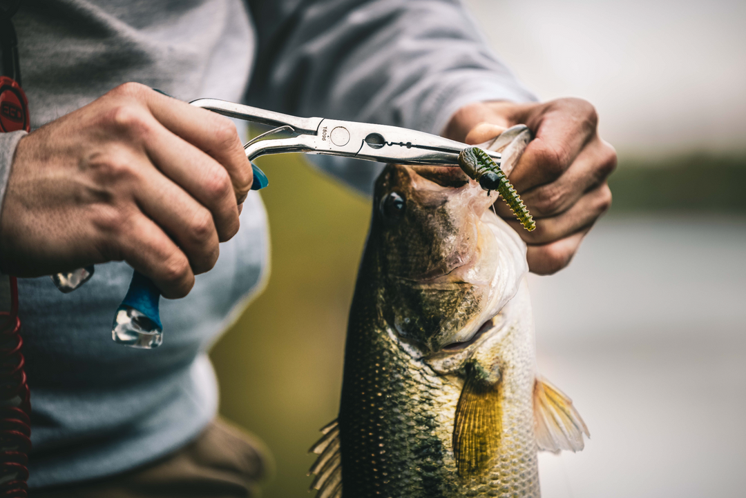 4 Fishing Must Haves