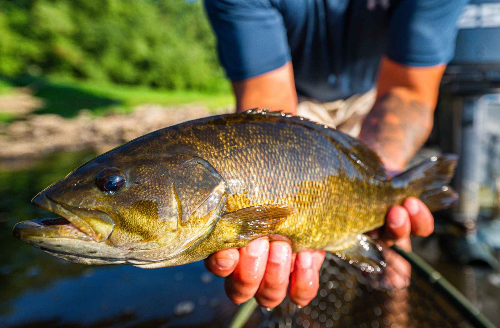 4 Tips For Smallmouth Fishing