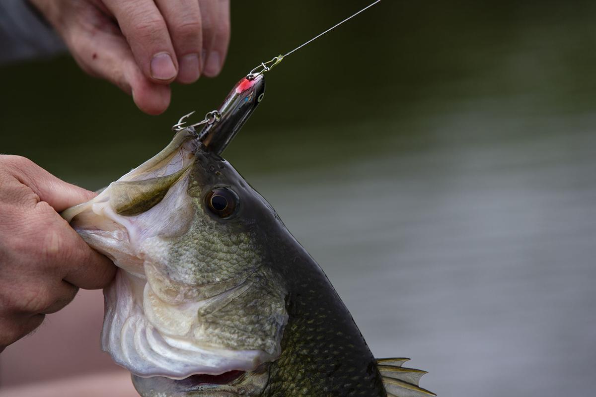 Top 10 Topwater Lures of All Time