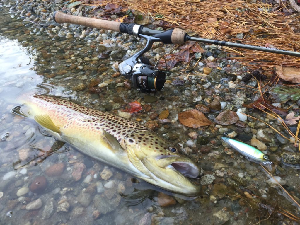 Let's Talk Trout Fishing