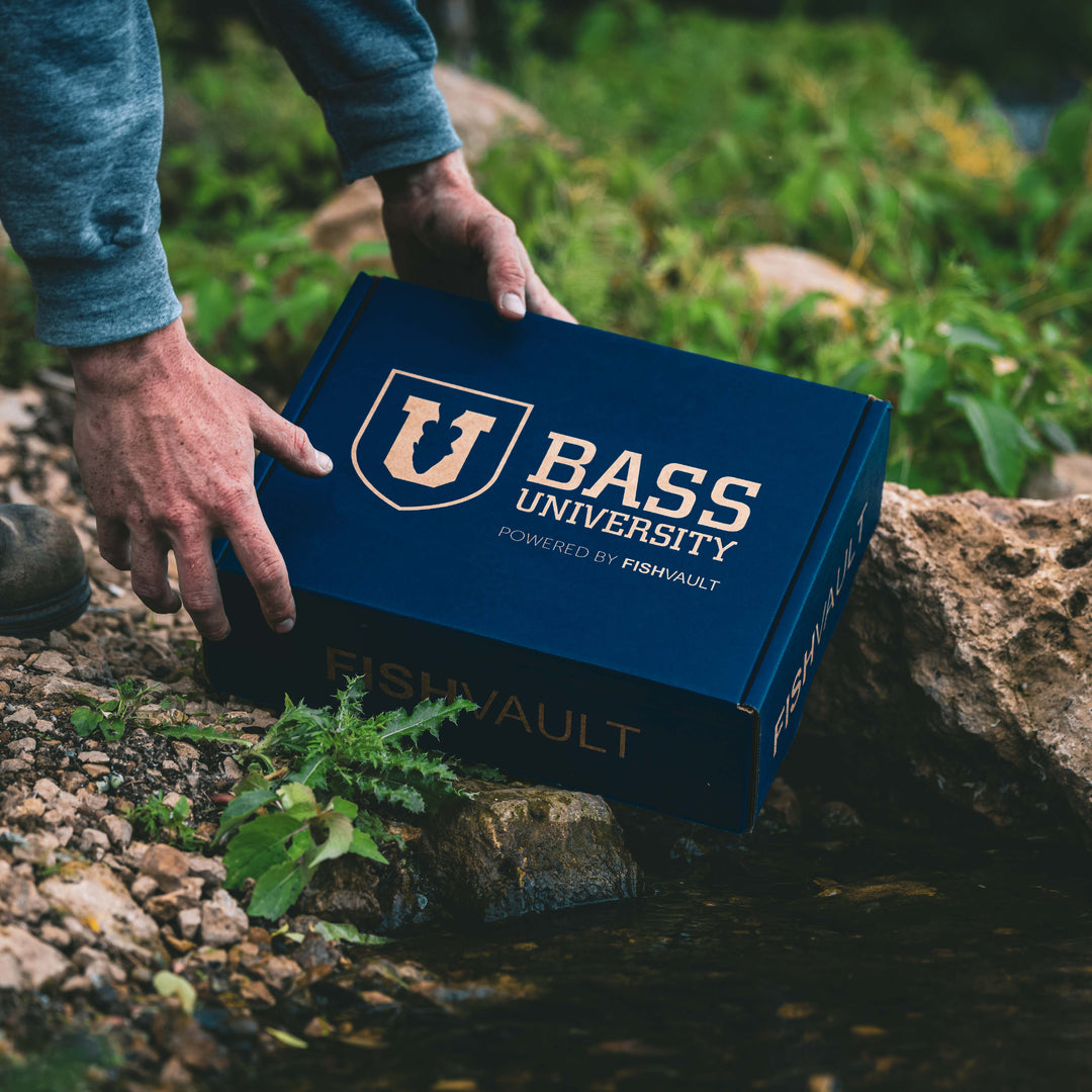 Bass U Box | Monthly Subscription