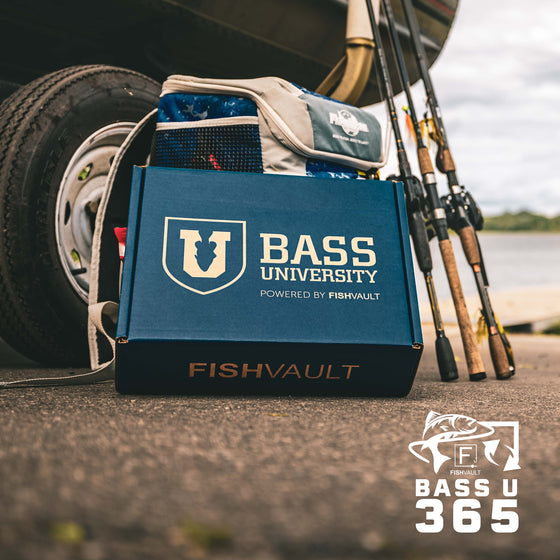 Bass U Box | 365 Subscription